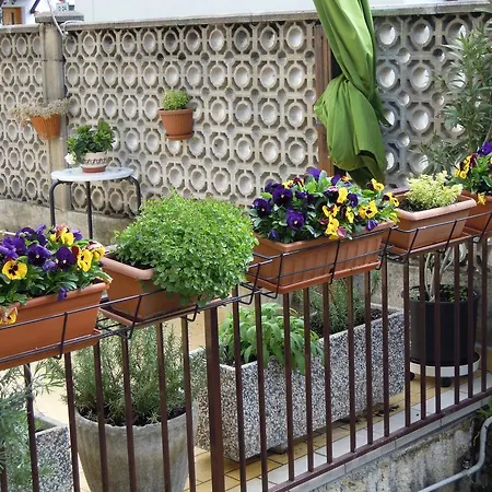 Ristorante Alla Terrazza